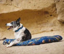 RUFFWEAR® Hundebett Basecamp™, rechteckig, Deep Jungle