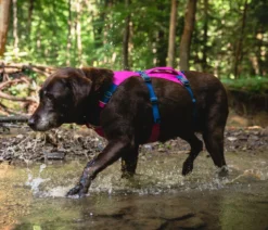 RUFFWEAR® Hundegeschirr Flagline Harness 2.0