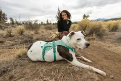 RUFFWEAR® Hundegeschirr Flagline Harness 2.0