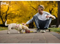 RUFFWEAR® Hundegeschirr Flagline Harness 2.0