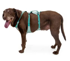 RUFFWEAR® Hundegeschirr Flagline Harness 2.0
