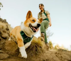 RUFFWEAR® Hundegeschirr Front Range® Flex