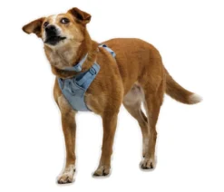 RUFFWEAR® Hundegeschirr Front Range® Flex