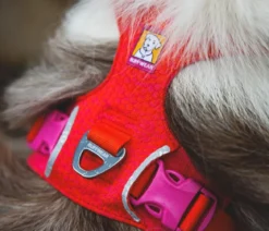 RUFFWEAR® Hundegeschirr Front Range® Flex
