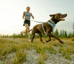 RUFFWEAR® Hundegeschirr Front Range® Flex