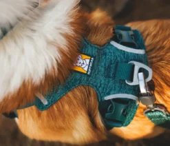 RUFFWEAR® Hundegeschirr Front Range® Flex