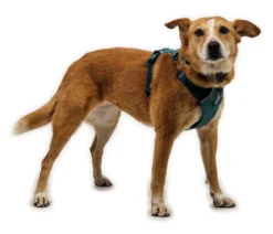 RUFFWEAR® Hundegeschirr Front Range® Flex
