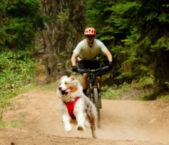 RUFFWEAR® Hundegeschirr Front Range® Flex
