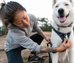 RUFFWEAR® Hundegeschirr Front Range®