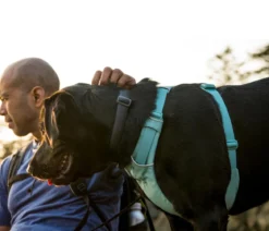 RUFFWEAR® Hundegeschirr Front Range®