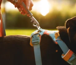 RUFFWEAR® Hundegeschirr Front Range®