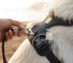 RUFFWEAR® Hundegeschirr Front Range®