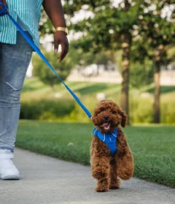 RUFFWEAR® Hundegeschirr Front Range®