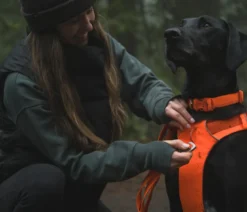 RUFFWEAR® Hundegeschirr Front Range®