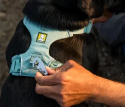 RUFFWEAR® Hundegeschirr Front Range®