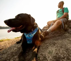 RUFFWEAR® Hundegeschirr Front Range®