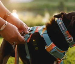 RUFFWEAR® Hundegeschirr Front Range®