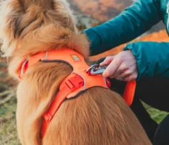 RUFFWEAR® Hundegeschirr Front Range®