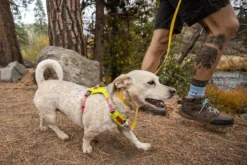 RUFFWEAR® Hundegeschirr Hi & Light™ Harness 2.0