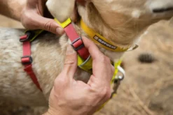 RUFFWEAR® Hundegeschirr Hi & Light™ Harness 2.0