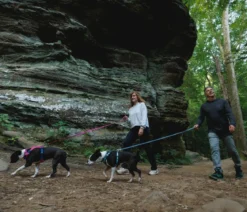 RUFFWEAR® Hundegeschirr Hi & Light™ Harness 2.0