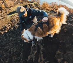 RUFFWEAR® Hundegeschirr Ridgeline™