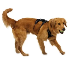 RUFFWEAR® Hundegeschirr Ridgeline™