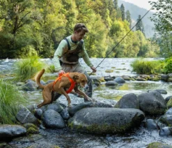 RUFFWEAR® Hundegeschirr Web Master™