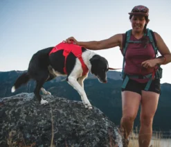 RUFFWEAR® Hundegeschirr Web Master™