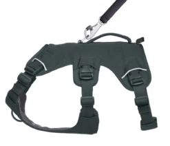 RUFFWEAR® Hundegeschirr Web Master™