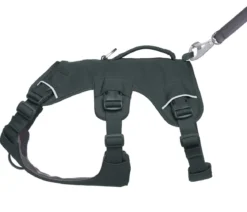RUFFWEAR® Hundegeschirr Web Master™