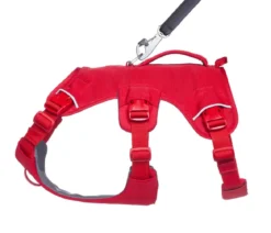 RUFFWEAR® Hundegeschirr Web Master™