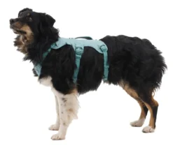 RUFFWEAR® Hundegeschirr Web Master™