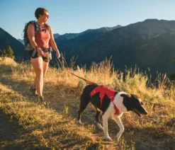 RUFFWEAR® Hundegeschirr Web Master™