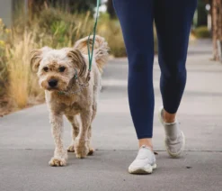 RUFFWEAR® Hundehalsband Chain Reaction™