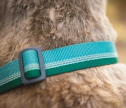 RUFFWEAR® Hundehalsband Chain Reaction™