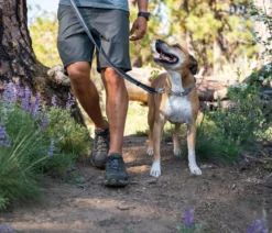 RUFFWEAR® Hundehalsband Chain Reaction™