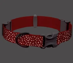 RUFFWEAR® Hundehalsband Confluence™