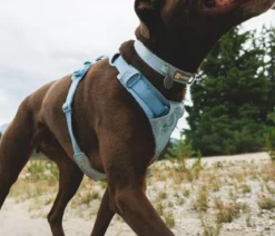 RUFFWEAR® Hundehalsband Front Range™ Flex