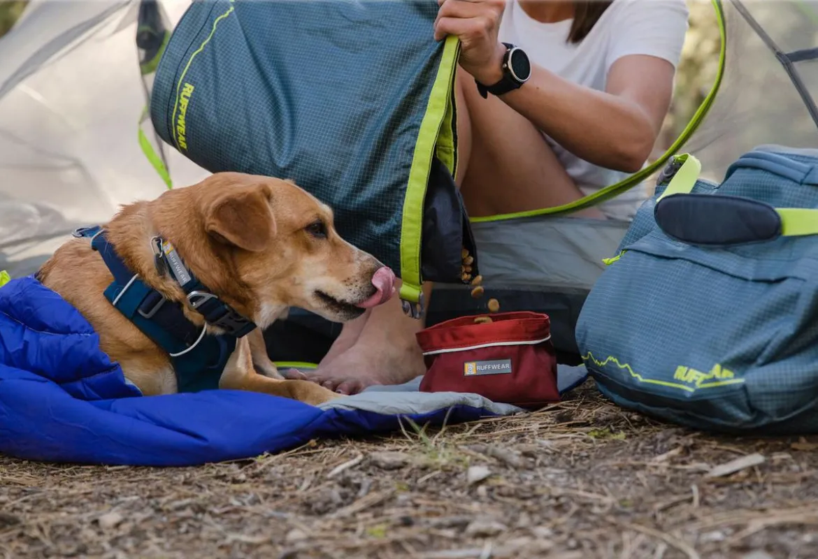 RUFFWEAR® Hundehalsband Front Range™