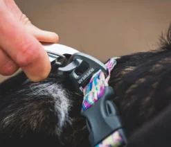 RUFFWEAR® Hundehalsband Front Range™, gemustert