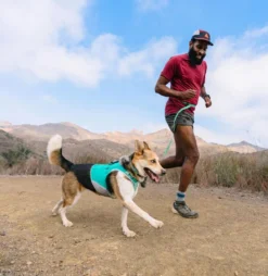 RUFFWEAR® Hundehalsband Hi & Light™ Collar
