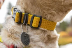 RUFFWEAR® Hundehalsband Hi & Light™ Collar