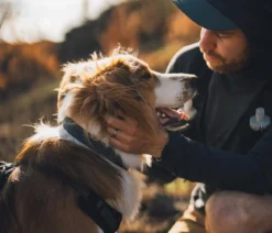 RUFFWEAR® Hundehalsband Ridgeline™