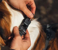 RUFFWEAR® Hundehalsband Ridgeline™