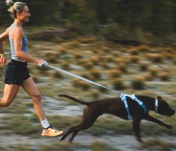 RUFFWEAR® Hundeleine Front Range™ Flex, L1,5 m