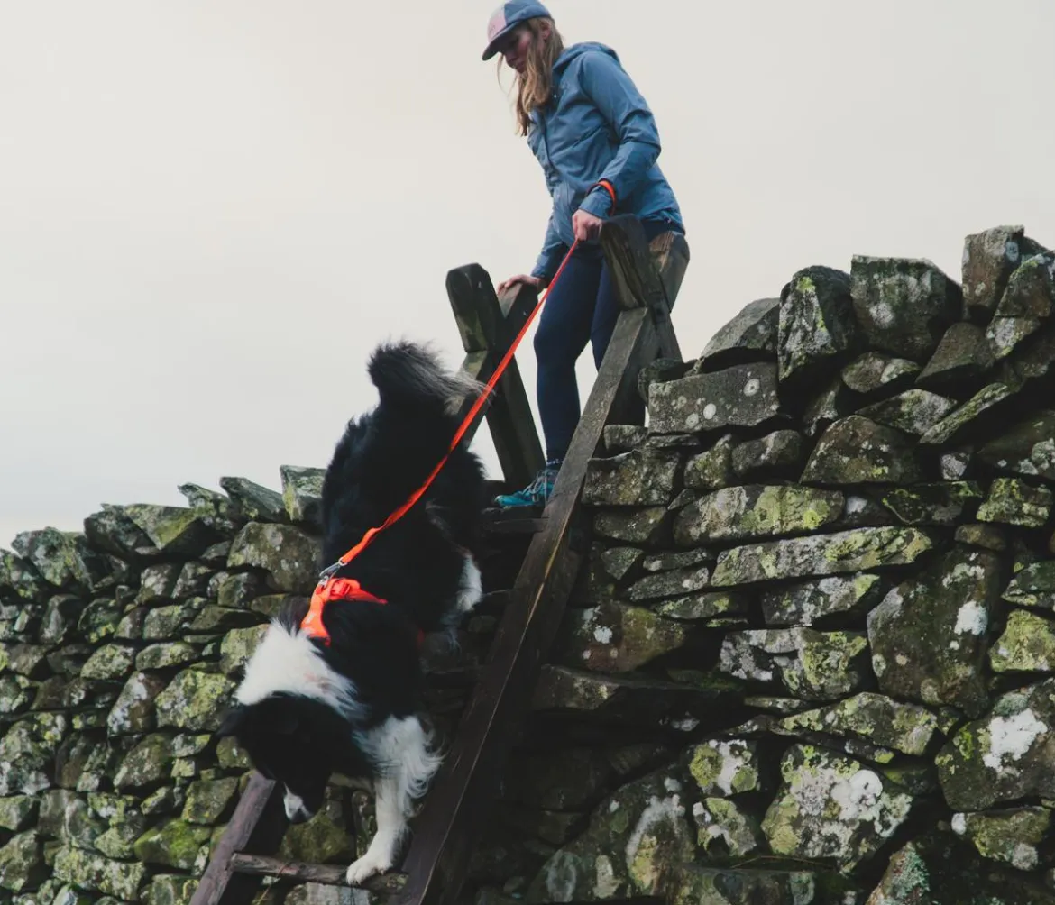 RUFFWEAR® Hundeleine Front Range™, L1,5 m