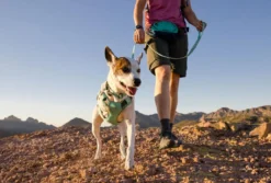 RUFFWEAR® Hundeleine Hi & Light™ Leash, 1,4 m