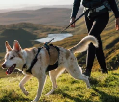 RUFFWEAR® Hundeleine Ridgeline™, L1,8 m