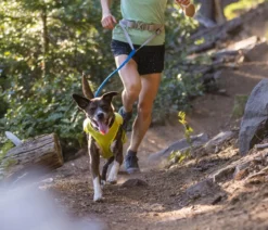 RUFFWEAR® Hundeleine Trail Runner™, 1,8 m